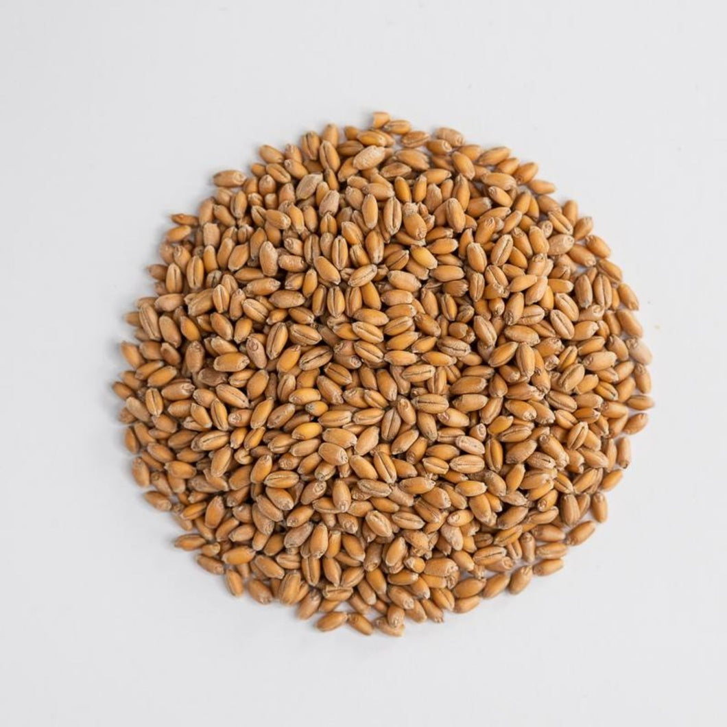 Soft Red Wheat