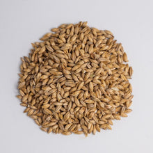 Load image into Gallery viewer, 2-Row Pale Malted Barley
